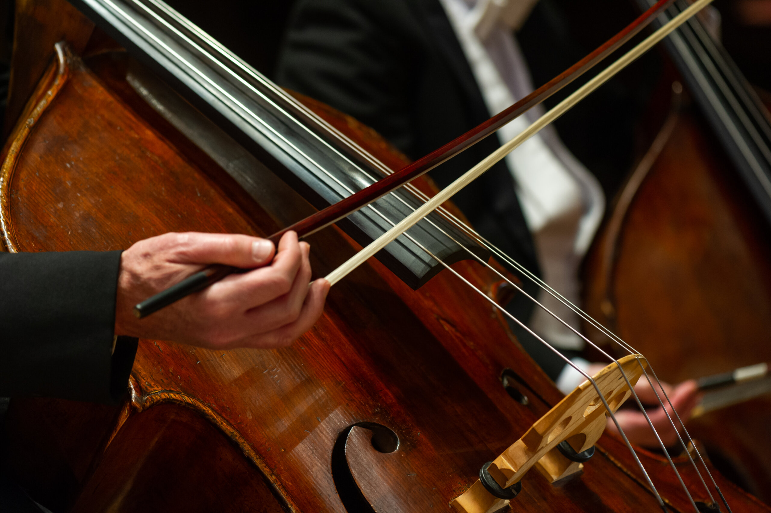 Musical Mornings – The Back Row Trio at Crescendo Coffee & More